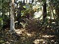 28 - Jardin des eaux 007